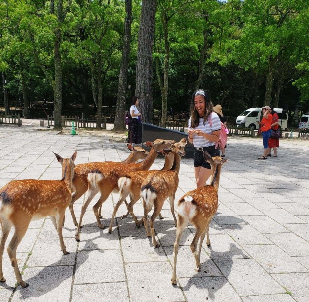 38600189_668331580197339_8389901858897920000_n